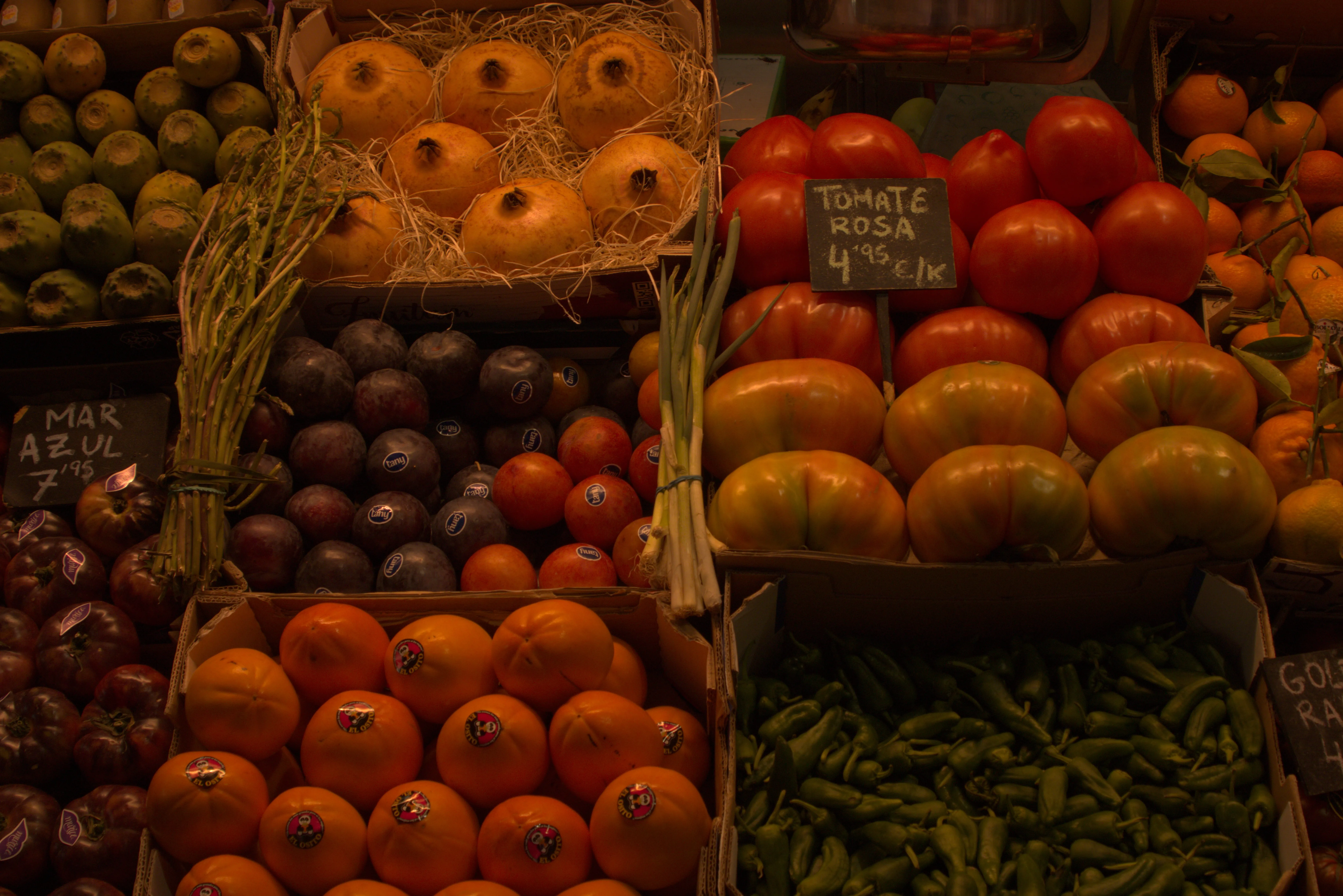 Tamron 28-300mm F3.5-6.3 (EF) - _I4A5019.webp